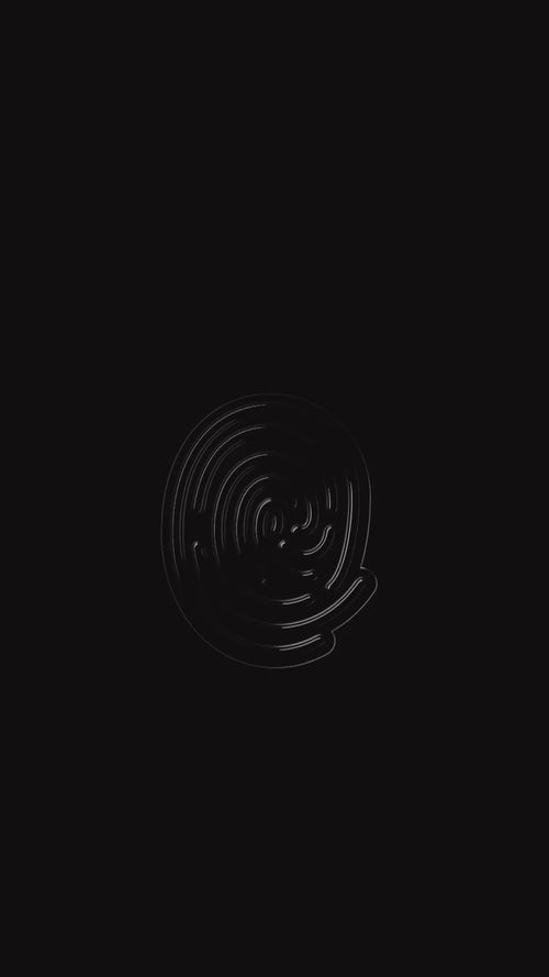 The fingerprint icon